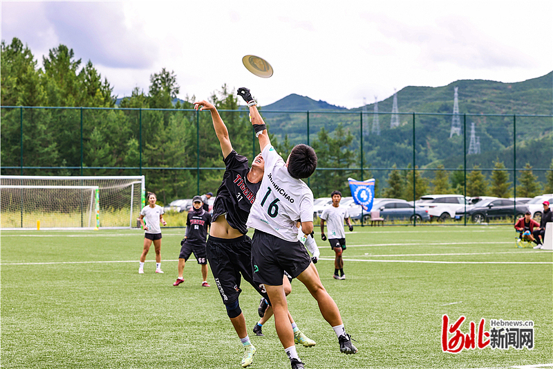 中心, 冬奥村则升, img