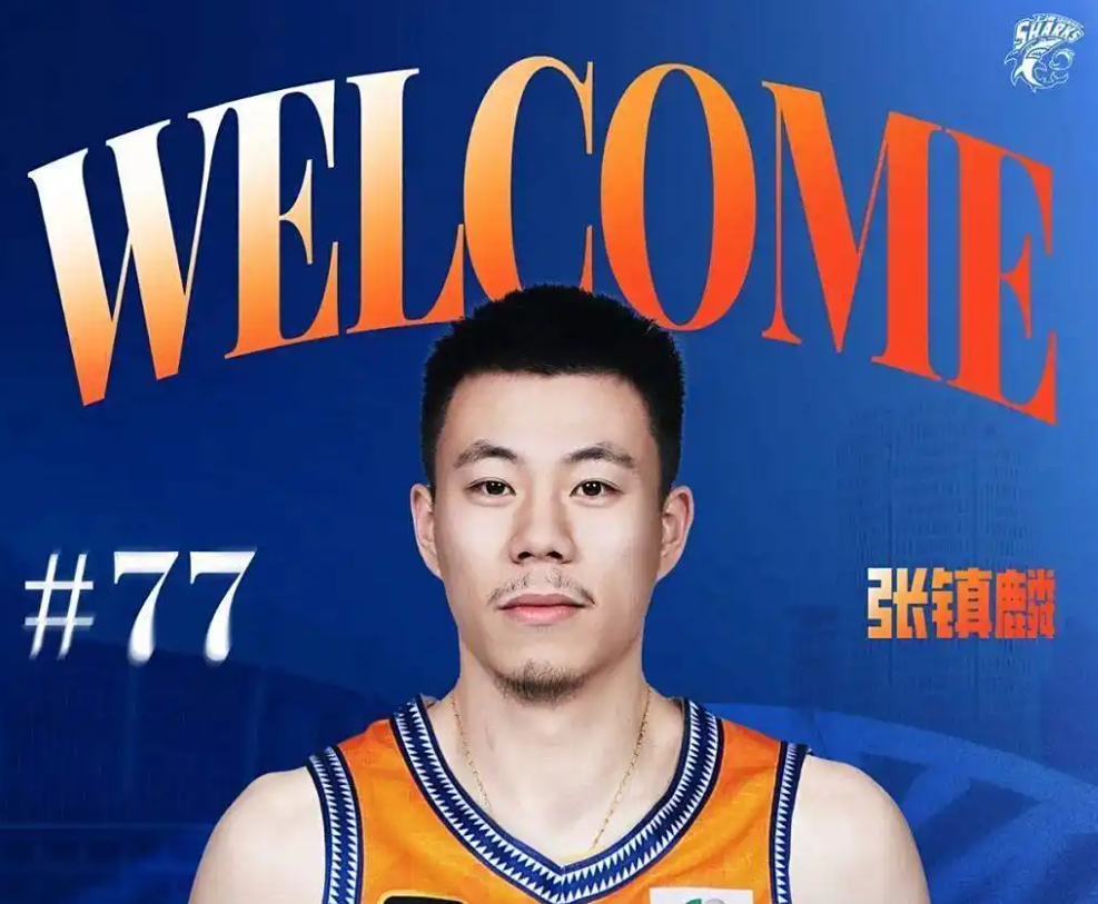 会成为锋线, 到时张镇麟