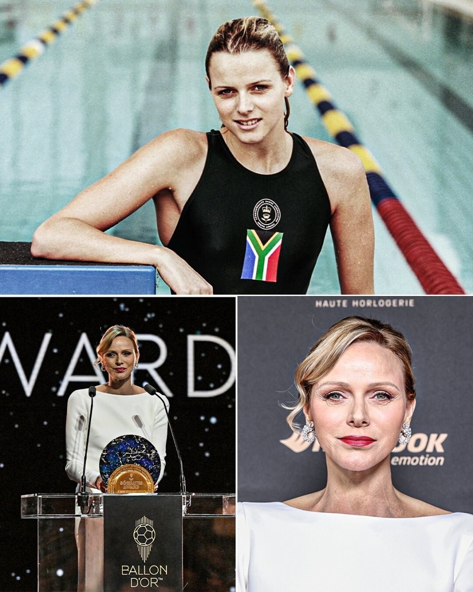 EeR, 牌之一艾莉 EeR, 牌之一艾莉